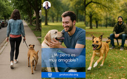 Un perro suelto, aunque sea sin querer, puede causar problemas