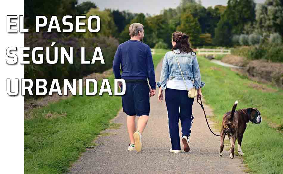 Las reglas del paseo y los cumplidos