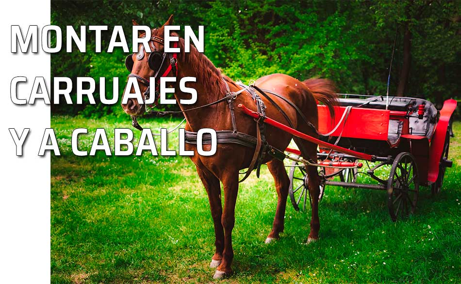 Precioso caballo que tira de un carruaje rojo