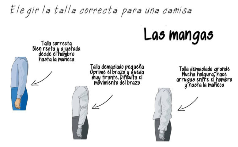 Mangas de la camisa - Talla correcta