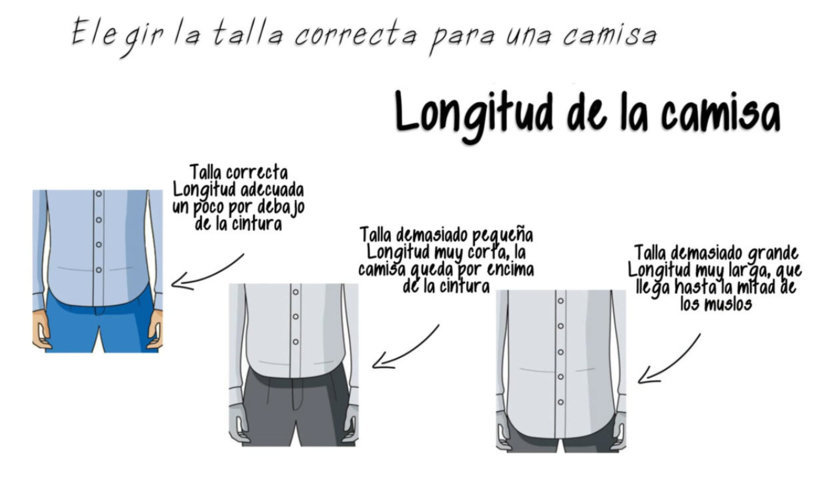 Longitud de la camisa - Talla correcta