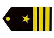 Insignia Teniente Coronel.