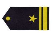 Insignia Primer Teniente.