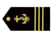 Insignia Cadete.