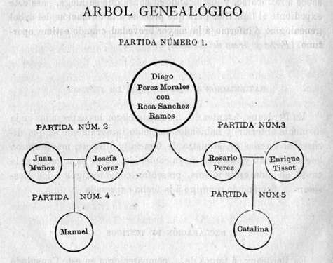 Arbol genealógico.