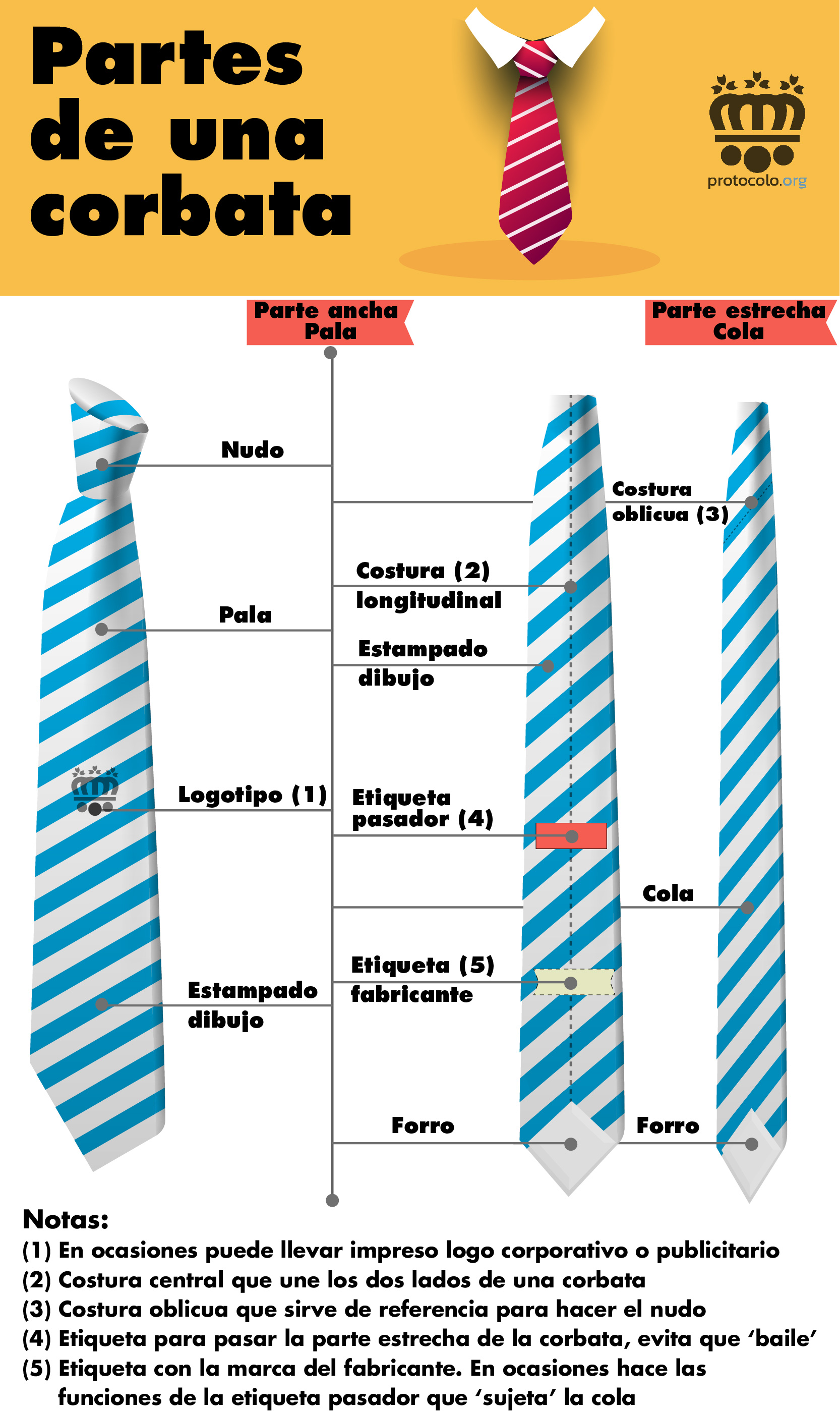 Infografía, partes de una corbata. De la pala a la cola