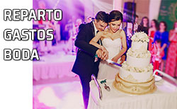 Novios cortando la tarta nupcial